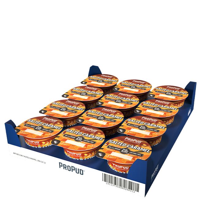 12 x ProPud proteiinivanukas 200 g Salted Caramel