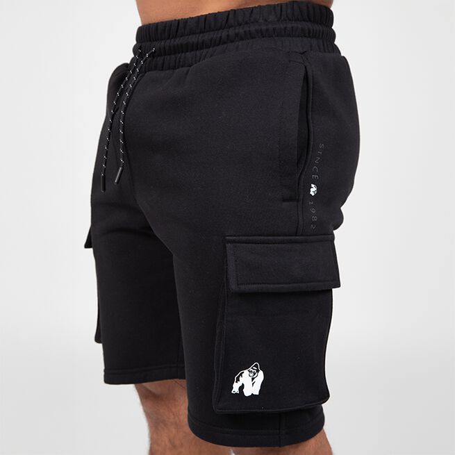 Hudson Cargo Treenishortsit Musta