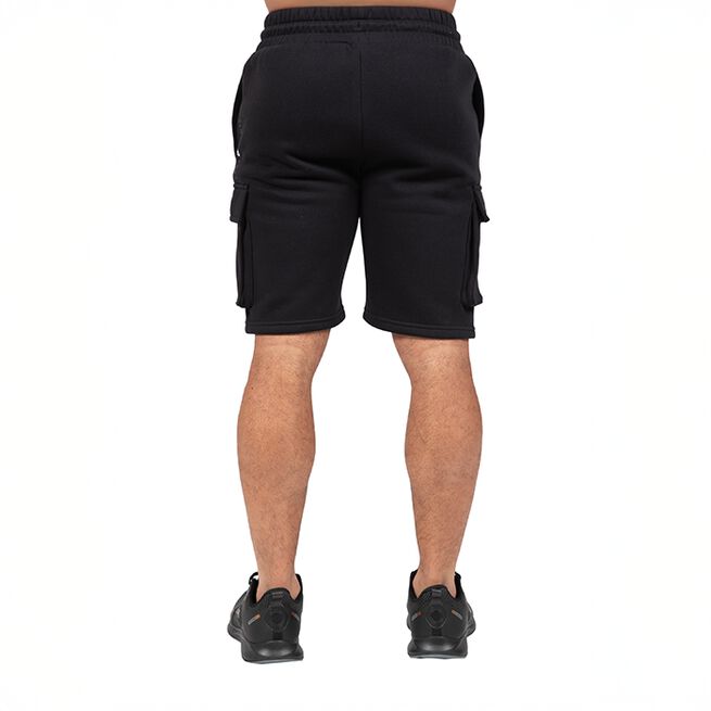 Hudson Cargo Treenishortsit Musta