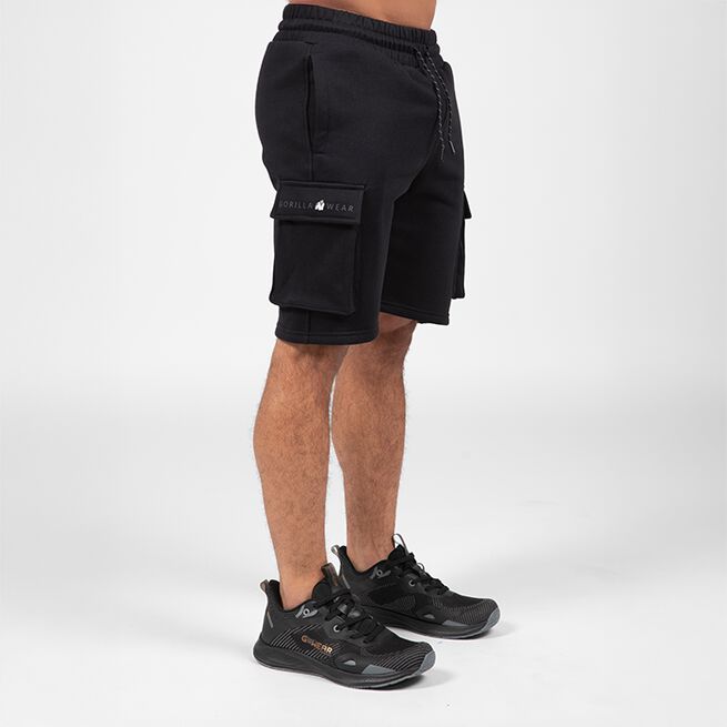 Hudson Cargo Treenishortsit Musta