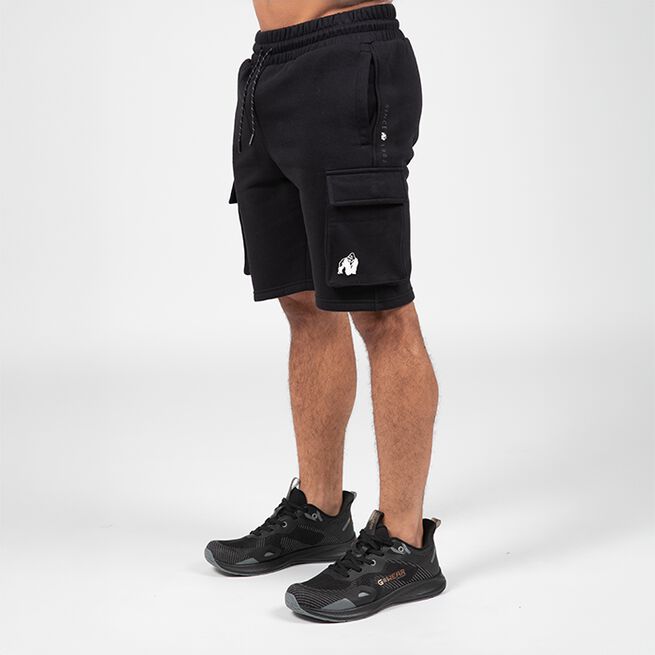 Hudson Cargo Treenishortsit Musta