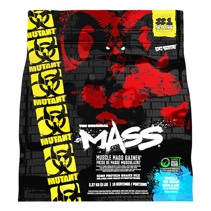 Mass Gainer 2,2 kg vanilla_ice_cream