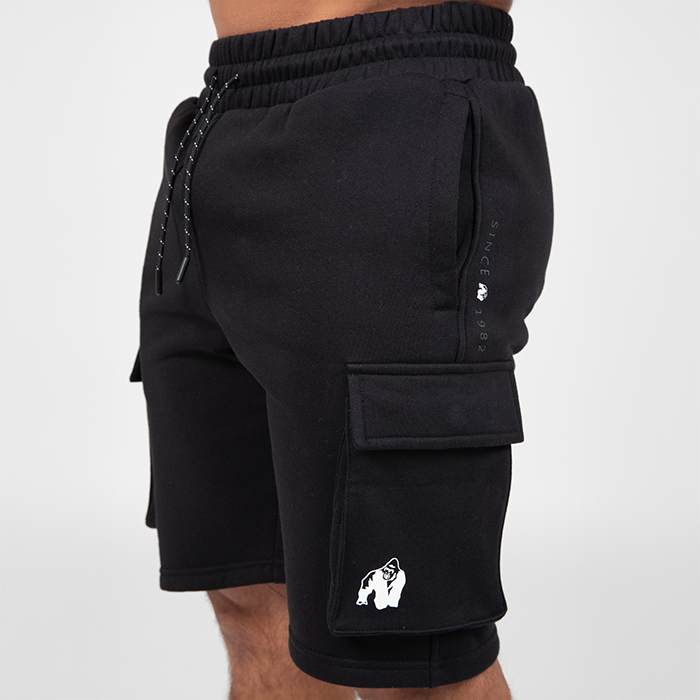 Hudson Cargo Treenishortsit Musta