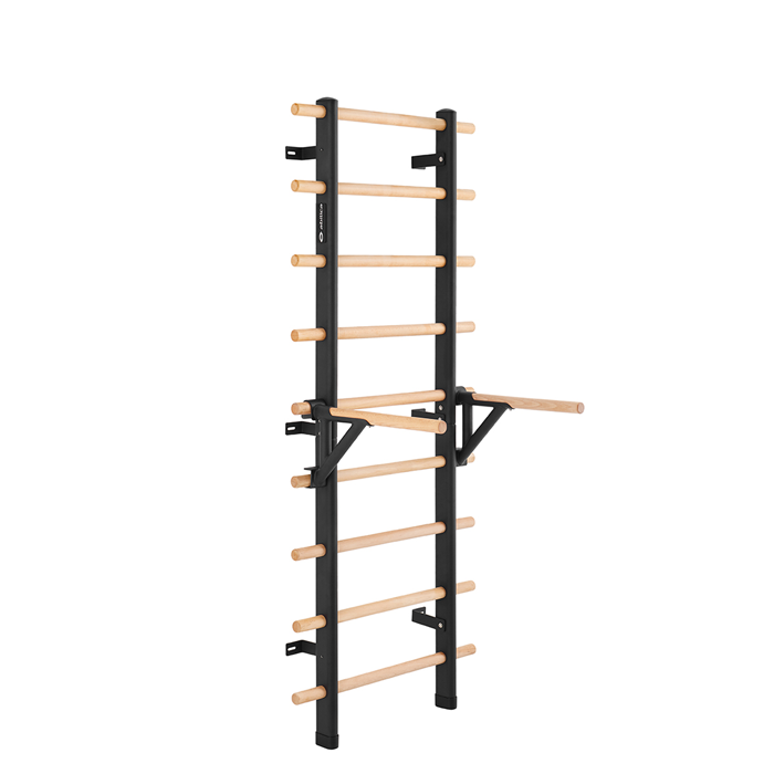 Abilica Premium WallBar Dips Handle