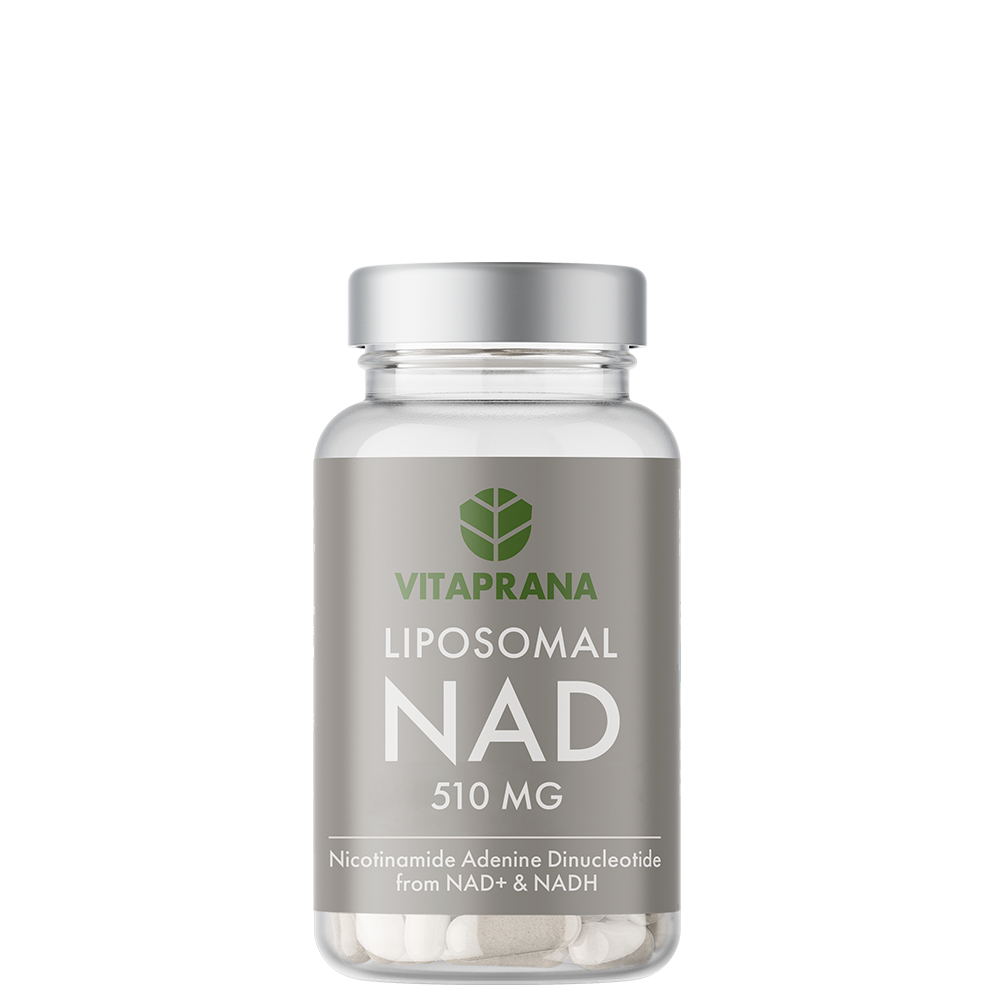Liposomaalinen NAD+ NADH:lla 510 mg 30 kapselia